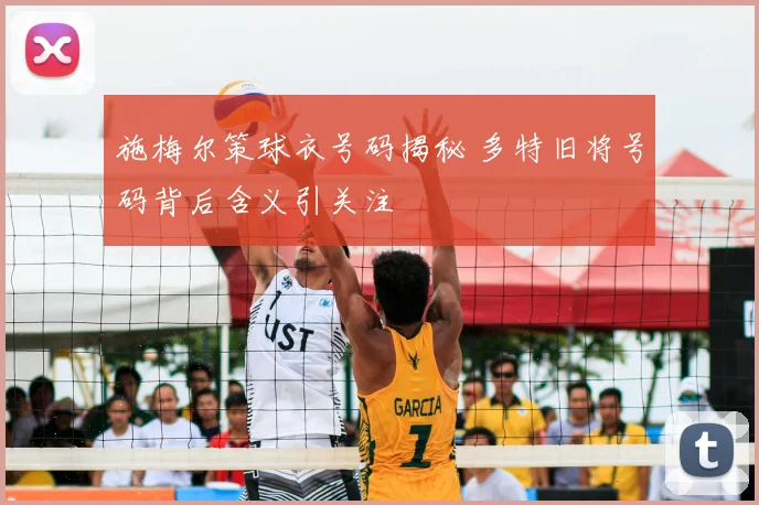 施梅尔策球衣号码揭秘 多特旧将号码背后含义引关注
