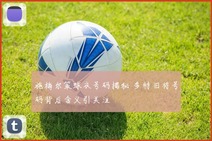 施梅尔策球衣号码揭秘 多特旧将号码背后含义引关注